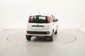 Fiat Panda Easy 0.9 Metano 85CV Bianco - thumbnail 5
