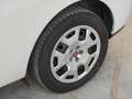 Fiat Doblo Maxi XL 1.6 mjt 120cv LH2 S&S Trasporto Disabili Blanco - thumbnail 9