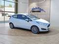 Ford Fiesta 1.0 EcoBoost Titanium Allwetter/Keyless/PDC/BT Weiß - thumbnail 7