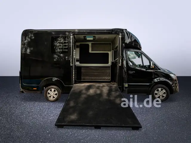Mercedes-Benz Sprinter view 2