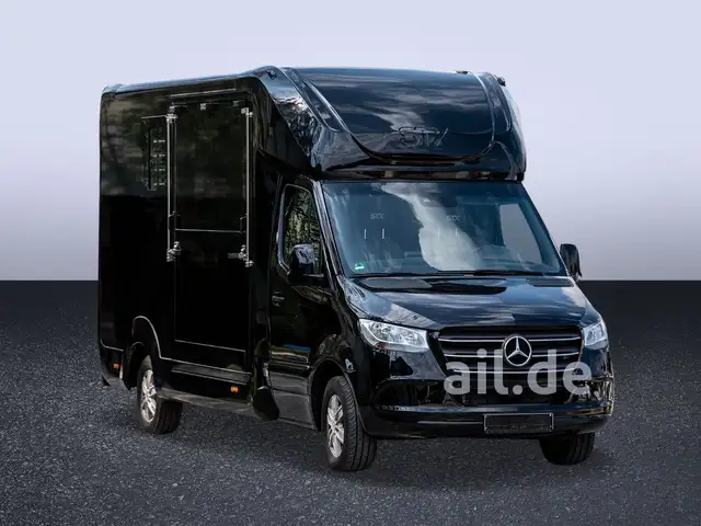 Mercedes-Benz Sprinter view 12