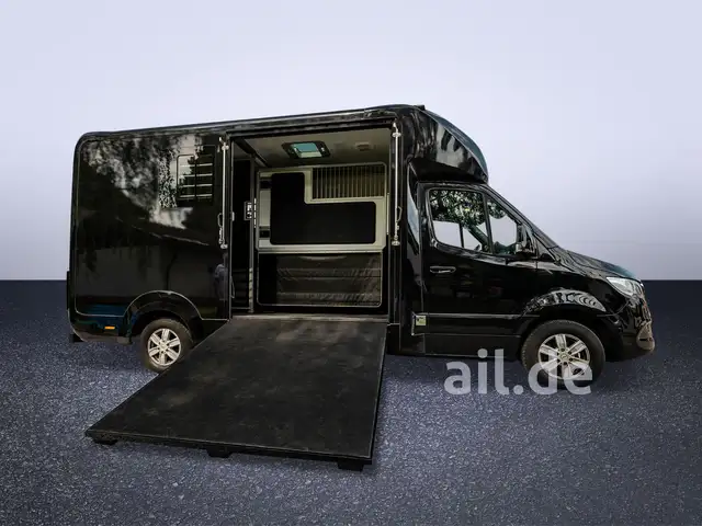 Mercedes-Benz Sprinter view 13