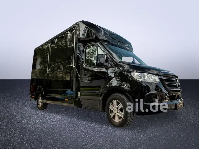 Mercedes-Benz Sprinter view 14