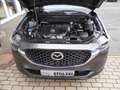 Mazda CX-5 ADVANTAGE 2.0l 165PS #NAVI#HEADUP#360°#SHZ#LRDHZ Gris - thumbnail 12