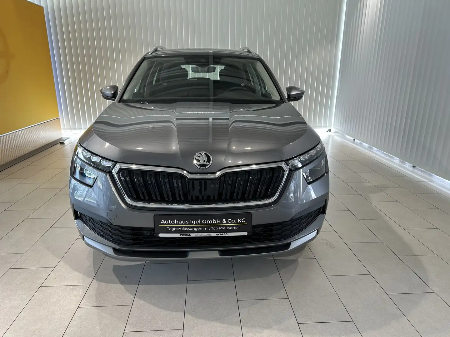 Skoda Kamiq Kamiq 1.0 TSI Style OPF (EURO 6d) Grau - 2