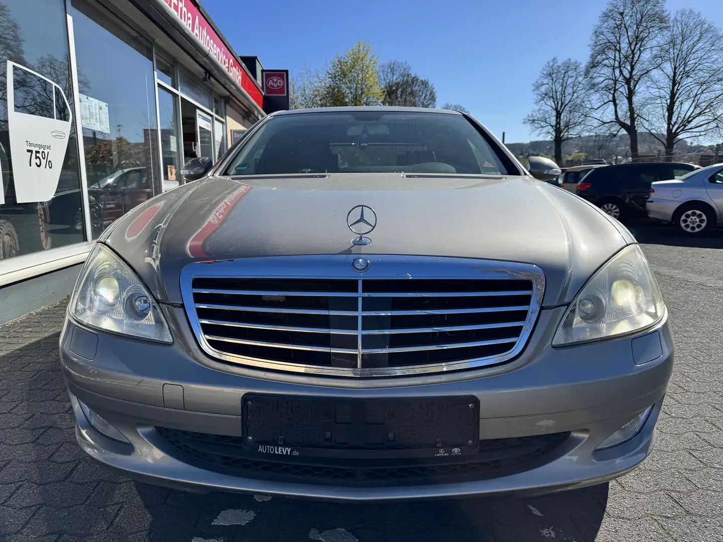 Mercedes-Benz S 320 S 320 CDI 4Matic L (221.180) Gris - 2