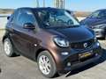 smart forTwo fortwo cabrio electric drive / EQ smeđa - thumbnail 2