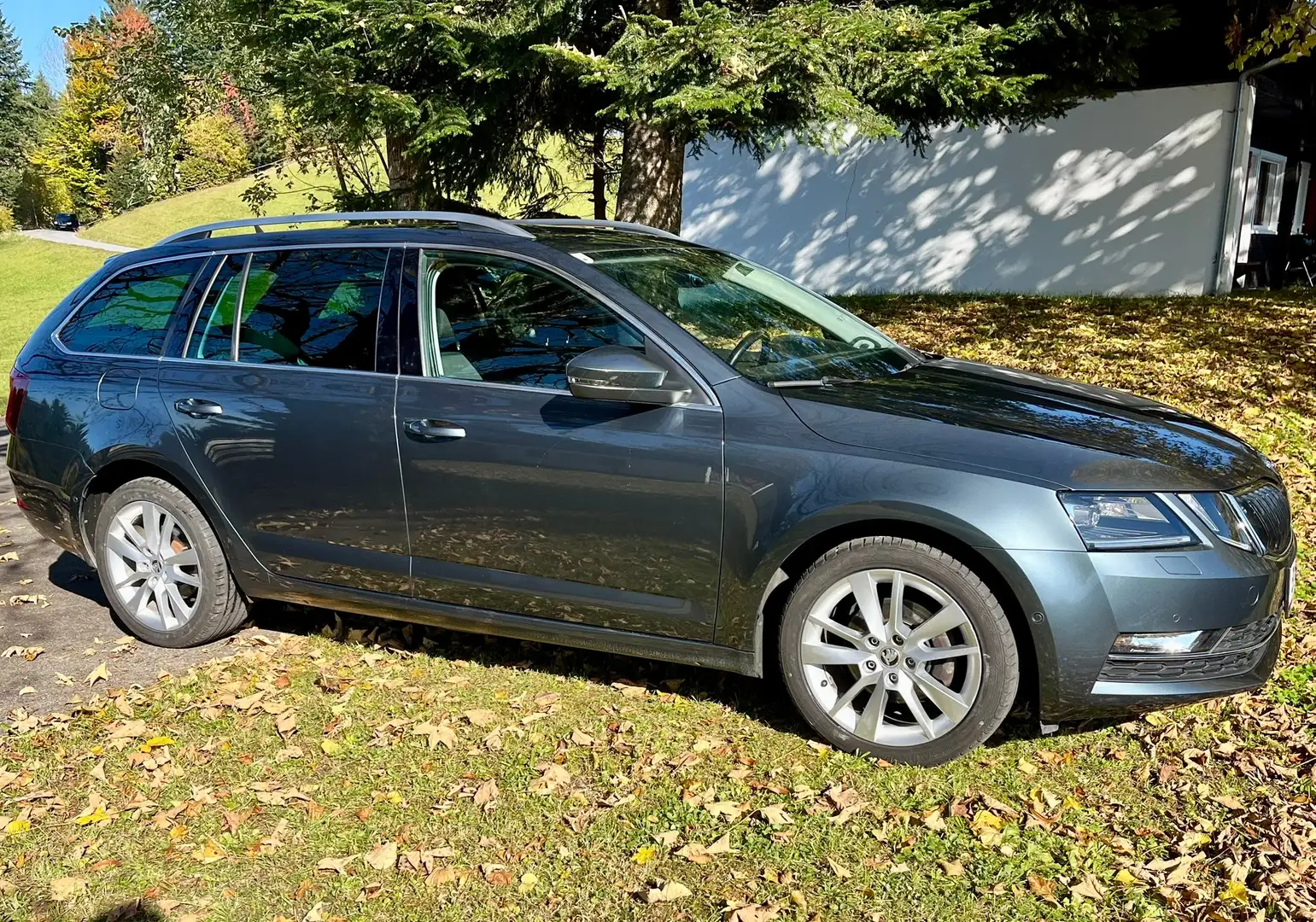 Skoda Octavia Octavia Combi 2,0 TDI Ambition Ambition Grau - 2