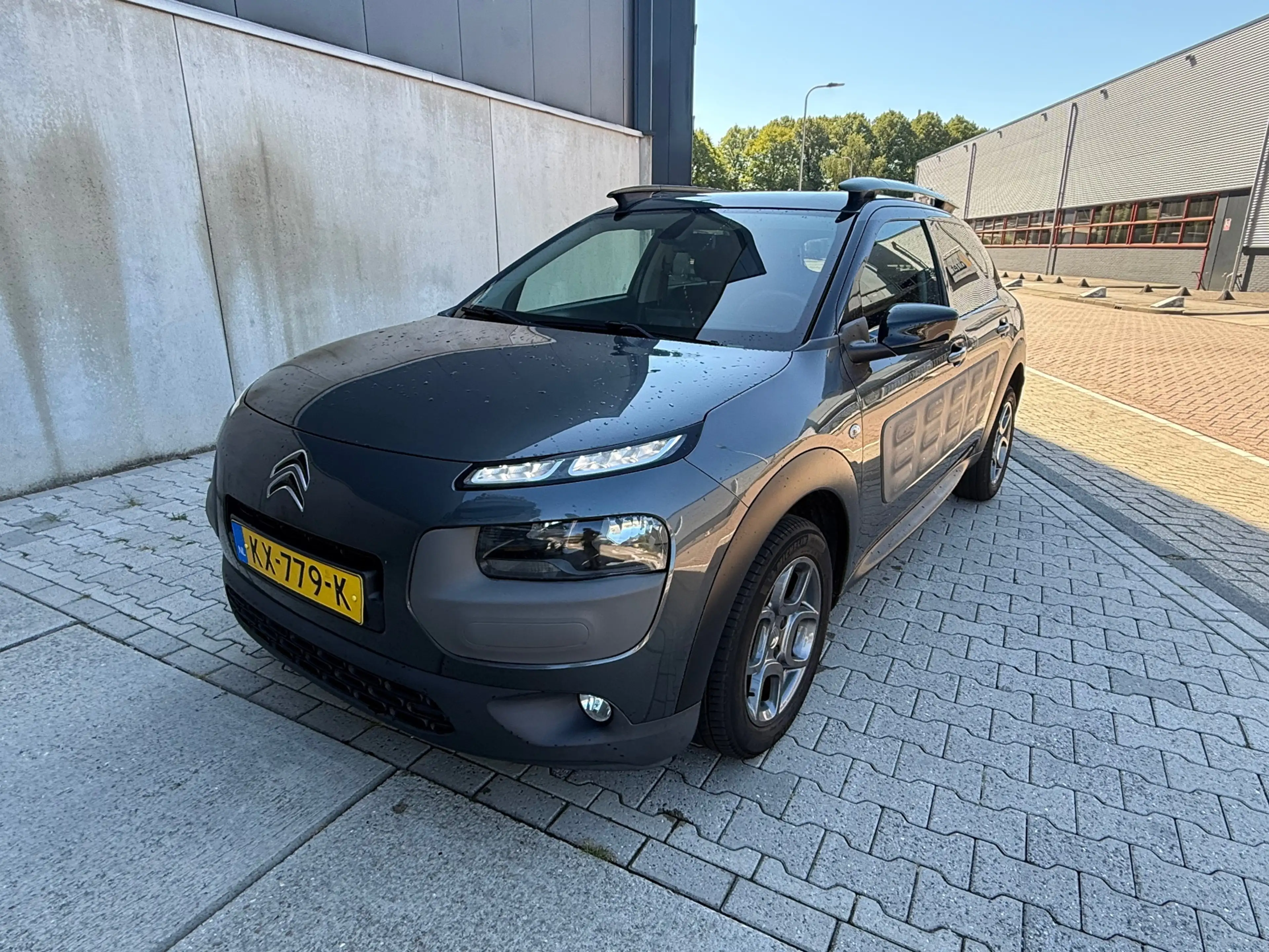 Citroen C4 Cactus 1.2 PureTech Shine Camera Clima NAVI Volledig onde — photo 7