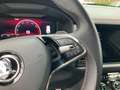 Skoda Kodiaq RS 4x4 2.0 TSI StandHZG Matrix Kamera Navi DigiCoc Schwarz - thumbnail 22