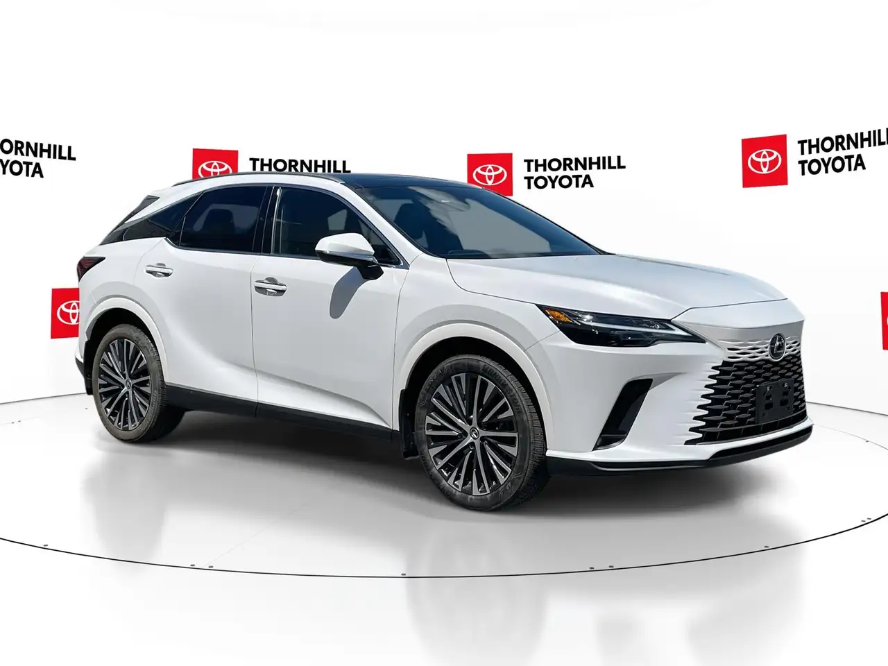 2025 Lexus RX