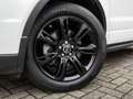 Land Rover Range Rover Evoque 2.0 TD4 HSE Dynamic | Dealer Onderhouden | Xenon | Weiß - thumbnail 17