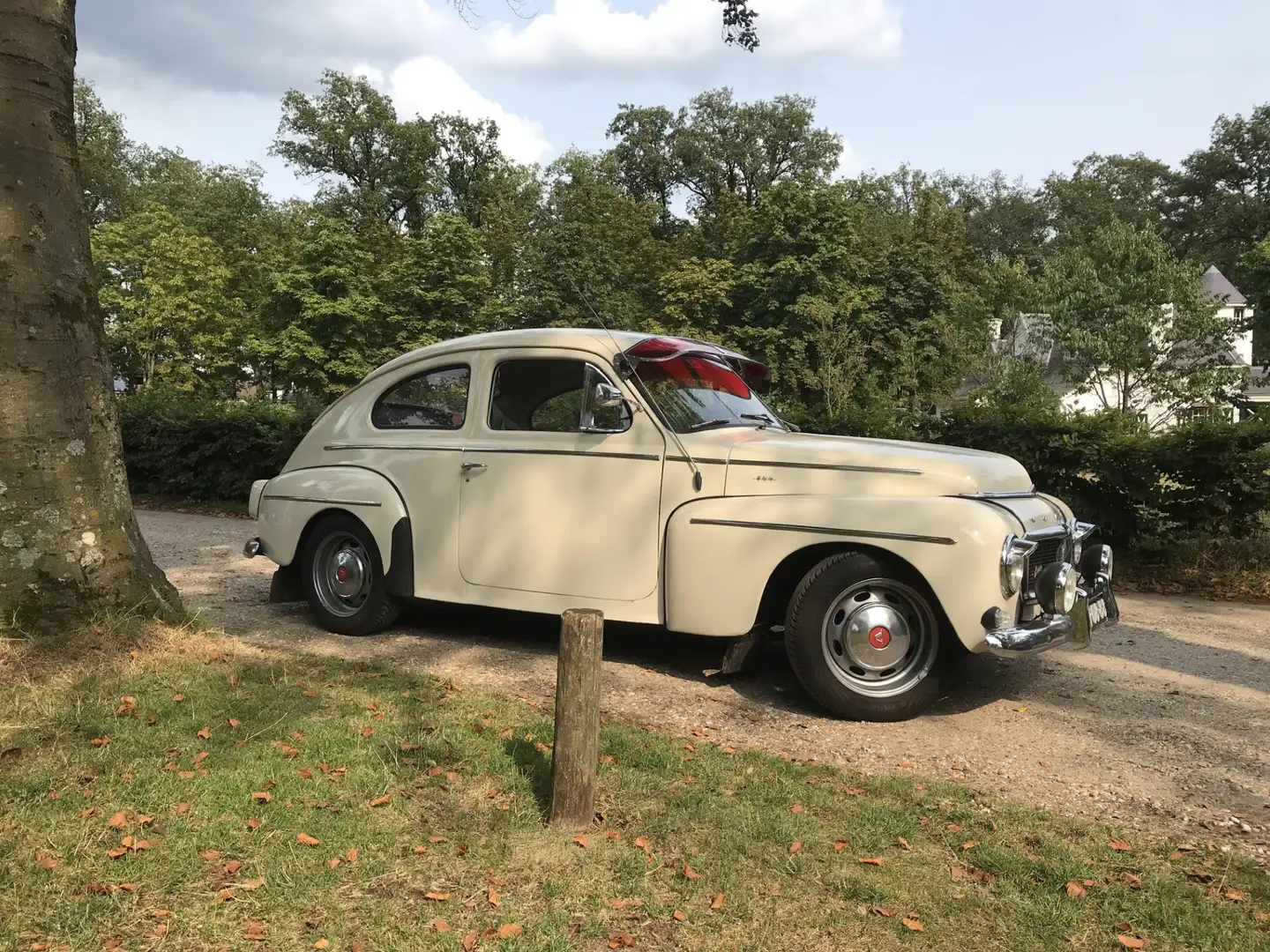 Volvo PV544 Favorit Alb - 1