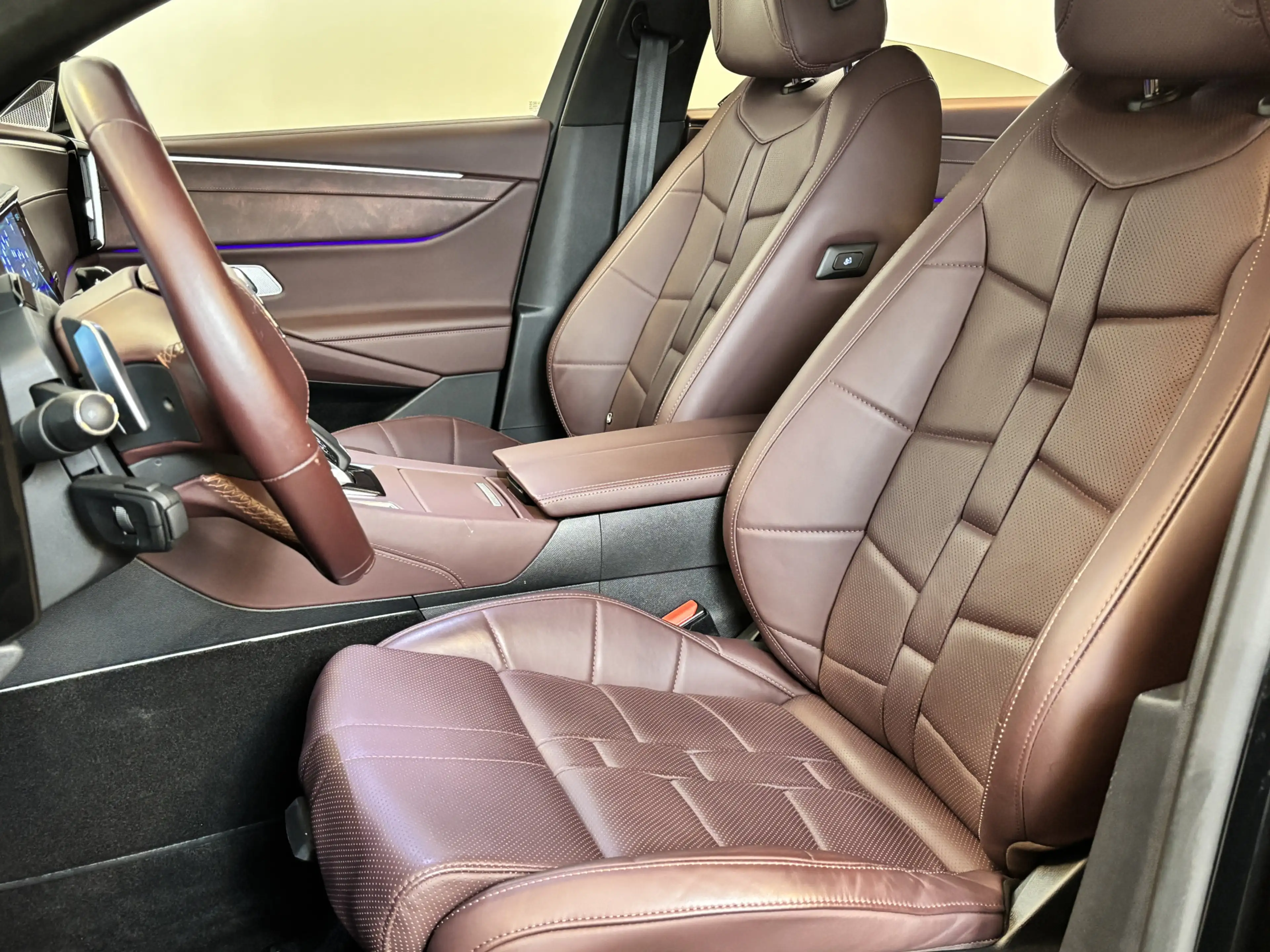 DS Automobiles DS 9 e-Tense 225 Opéra Nappa Leer | Panormadak | Nachtz — photo 24