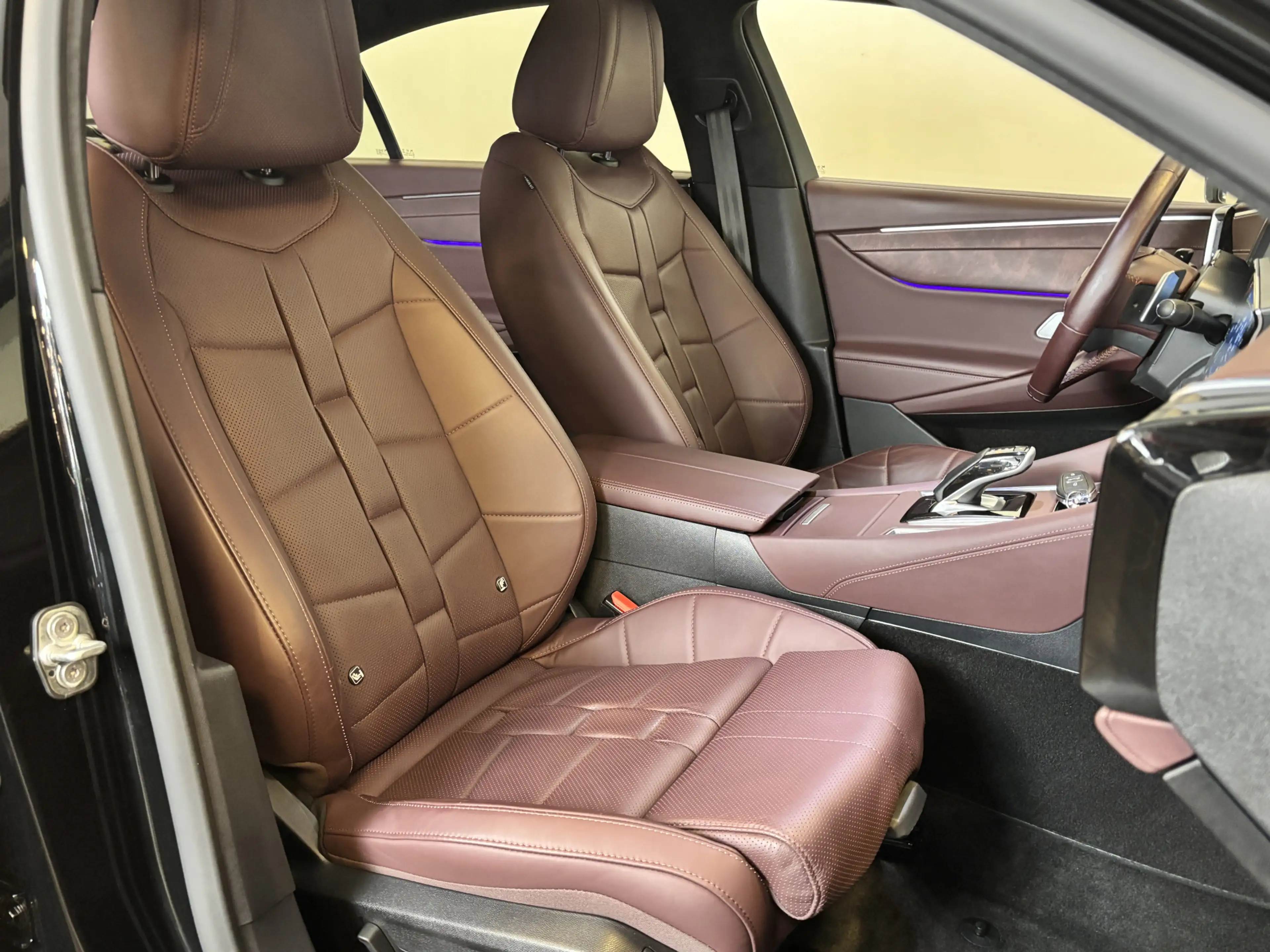 DS Automobiles DS 9 e-Tense 225 Opéra Nappa Leer | Panormadak | Nachtz — photo 6
