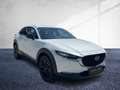 Mazda CX-30 G140 6MT 2WD HOMURA CarPlay LED Navi RFK Weiß - thumbnail 4
