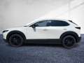 Mazda CX-30 G140 6MT 2WD HOMURA CarPlay LED Navi RFK Weiß - thumbnail 2