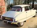 Citroen DS D Super 5 - Restaurierter Zustand! Blanco - thumbnail 33