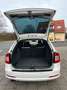 Skoda Octavia Combi RS 2HAND/SHZ/NAVI/PDC Blanco - thumbnail 9