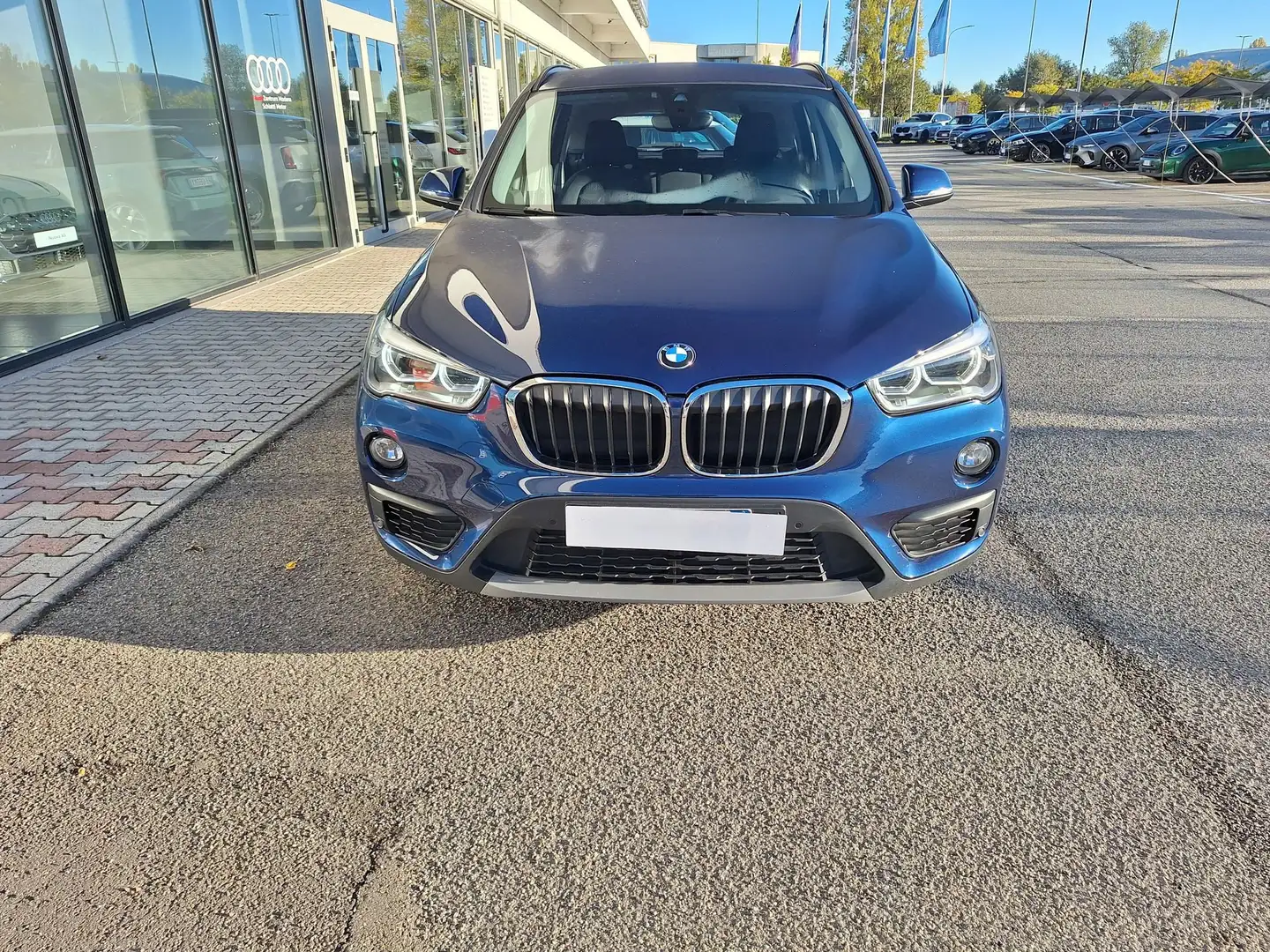 BMW X1 X1 xDrive20d Business Blu/Azzurro - 2