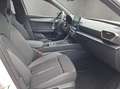 SEAT Leon . Weiß - thumbnail 17