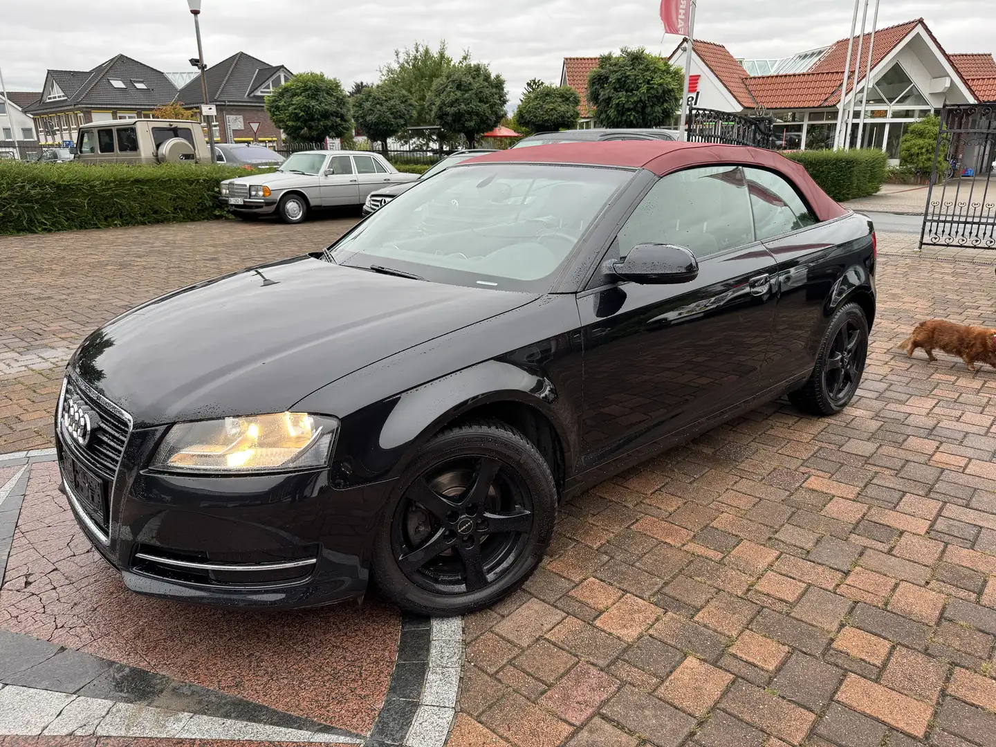 Audi A3 Attraction 1,4 TSI Steuerkette neu / Unfallfrei Noir - 1