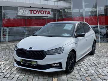 1.0 TSI Monte Carlo
