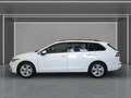 Volkswagen Golf Variant Golf VIII Variant 1.0 TSI LIFE Pano*Navi*LED*ACC Weiß - thumbnail 4