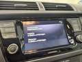 Skoda Fabia Combi 1.0 TSI Ambition | 1e-EIG. | CLIMA | CARPLAY Bleu - thumbnail 21