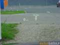 BMW 328 i SPORT-L. NAVI,XEN,HUD,TW-A.,DAB,PDC,BT,1.HD! Gris - thumbnail 18