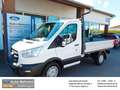 Ford Transit Pritsche 330 L2 Trend Klima Tempomat Blanc - thumbnail 1