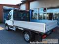 Ford Transit Pritsche 330 L2 Trend Klima Tempomat Blanc - thumbnail 6