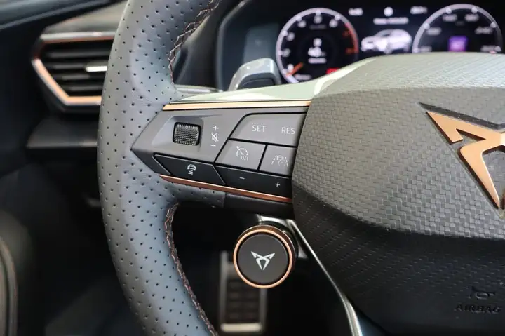 Cupra Formentor 2.0 TSI 4Drive DSG 2021, foto 15
