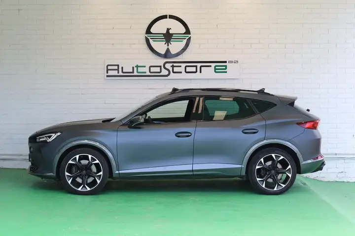 Cupra Formentor 2.0 TSI 4Drive DSG 2021, foto 8