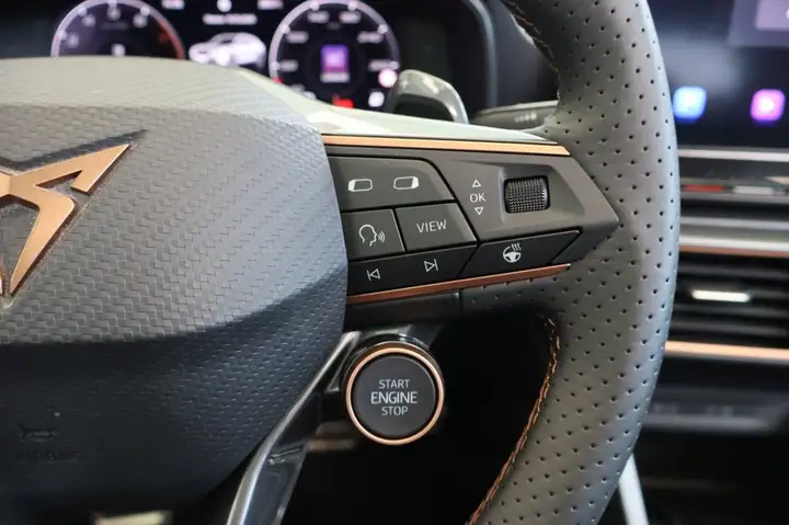 Cupra Formentor 2.0 TSI 4Drive DSG 2021, foto 16