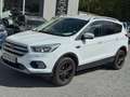 Ford Kuga Trend 1.5 EcoBoost SHZ LenkradHZG Keyless Notbrems Blanc - thumbnail 1