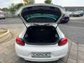 Volkswagen Scirocco 1.4 TSI Team Kette neu! TÜV 02/2027! Blanc - thumbnail 10