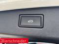 Volkswagen Tiguan 2.0 TDI DSG R-Line IQ-LIGHT DIGITAL PRO 19 SCHIEBE Weiß - thumbnail 12