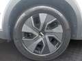 Dacia Sandero Stepway Expression TCe 90 Weiß - thumbnail 13