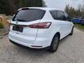 Ford S-Max Titanium Aut.  Winterpaket, Abstandstempomat Weiß - thumbnail 3