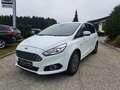 Ford S-Max Titanium Aut.  Winterpaket, Abstandstempomat Weiß - thumbnail 16