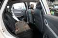 MG ZS 1.0 T-GDI * LUXURY * 1.HAND | PANORAMA | 360° Weiß - thumbnail 14