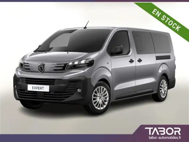 Peugeot Expert Combi L3 180 8S PrivG 2xClim GPS