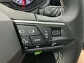 SEAT Ibiza Ibiza New Ibiza Move! Full Link 1.0 TSI 95cv (70kW Grey - thumbnail 30