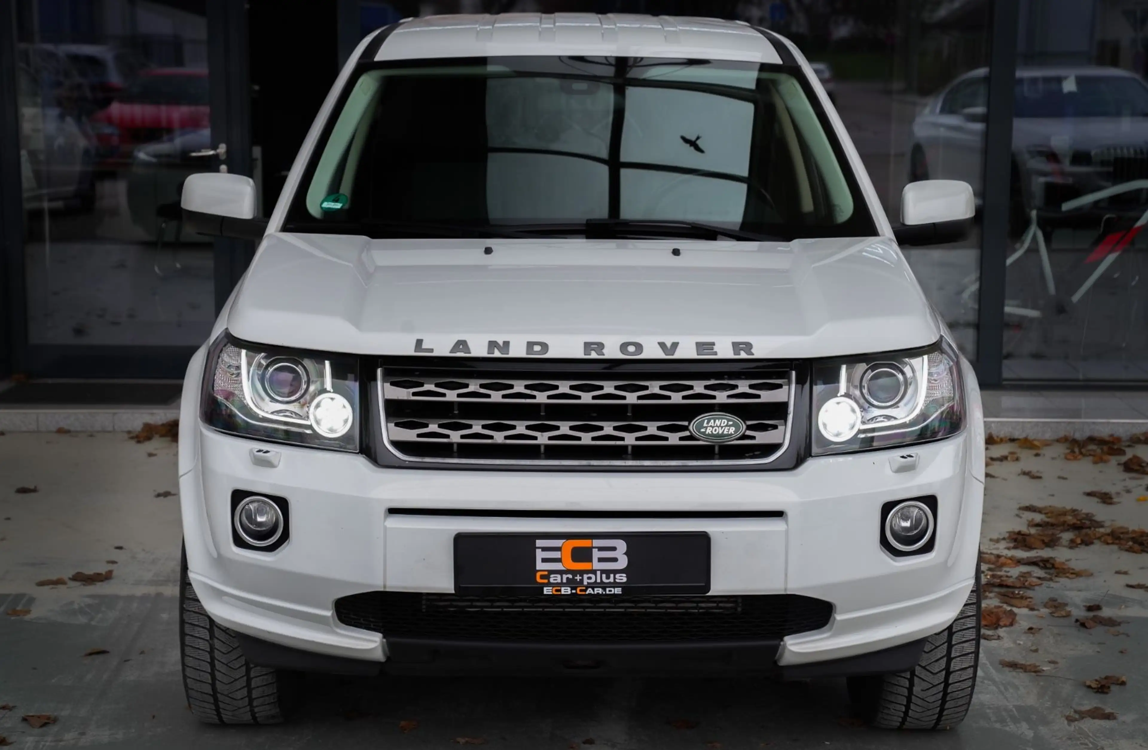 Land Rover Freelander 2 XS TD4 *SHZ/Klima/Temp.* — photo 8
