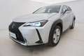 Lexus UX 250h Hybrid Business 2.0 Full Hybrid 184CV Argento - thumbnail 9