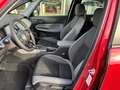Honda Jazz 1.5 e:HEV Hybrid Advance Sport Rood - thumbnail 5