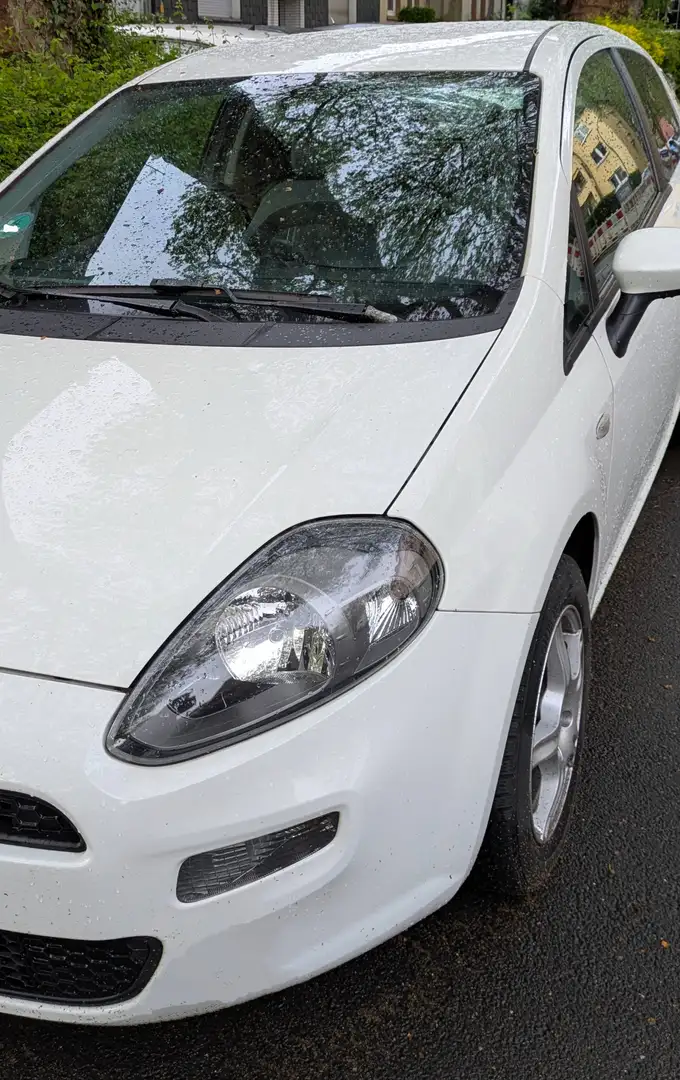 Fiat Punto Evo Punto EVO  3-Türer 1.2 8V Easy Blanco - 1