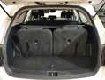 Kia Sorento 2.2CRDi Drive 4x2 DCT Blanco - thumbnail 10