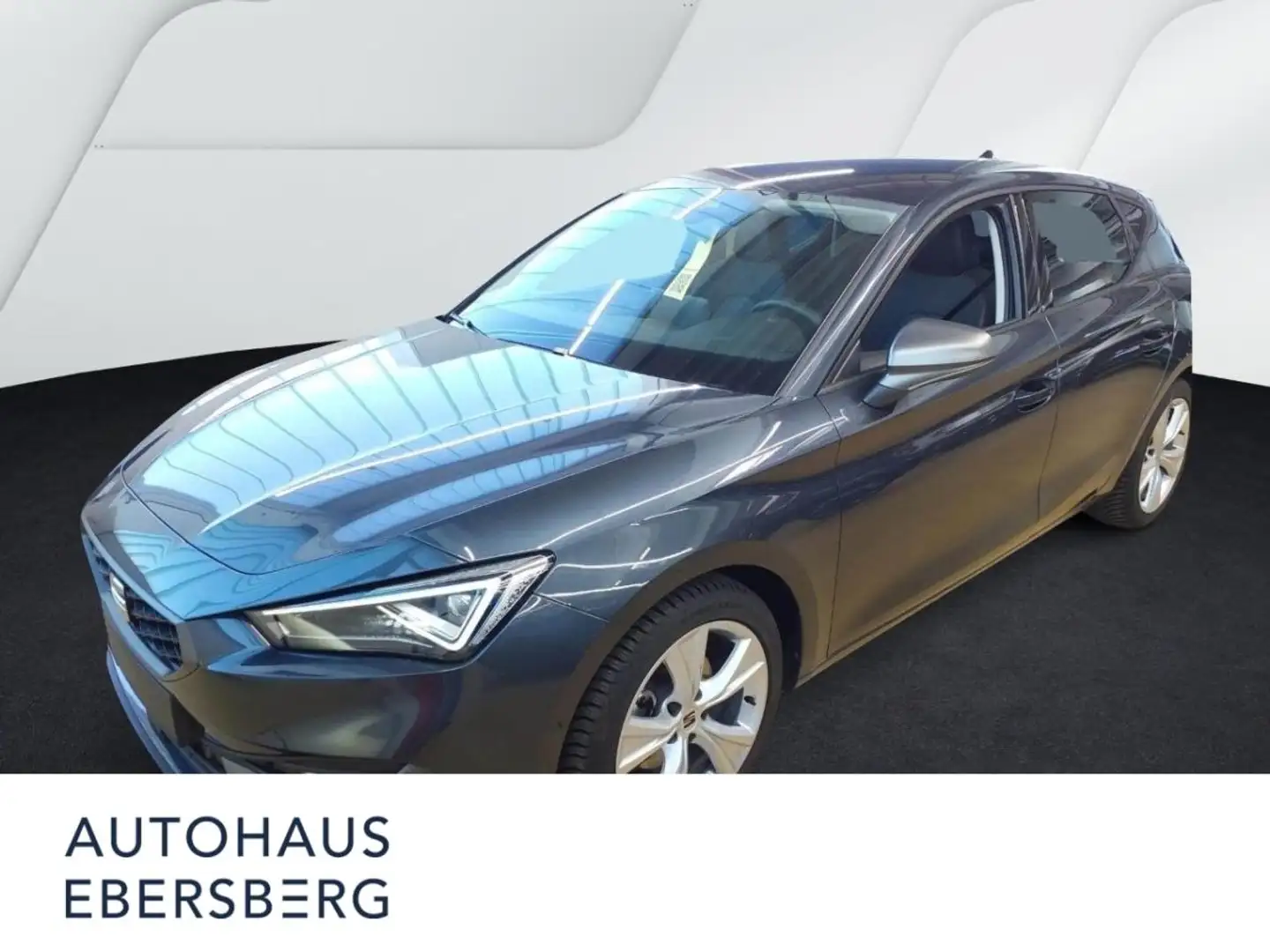 SEAT Leon FR 1.5 TSI Business Matrix Connect Kamera Winter Grau - 1